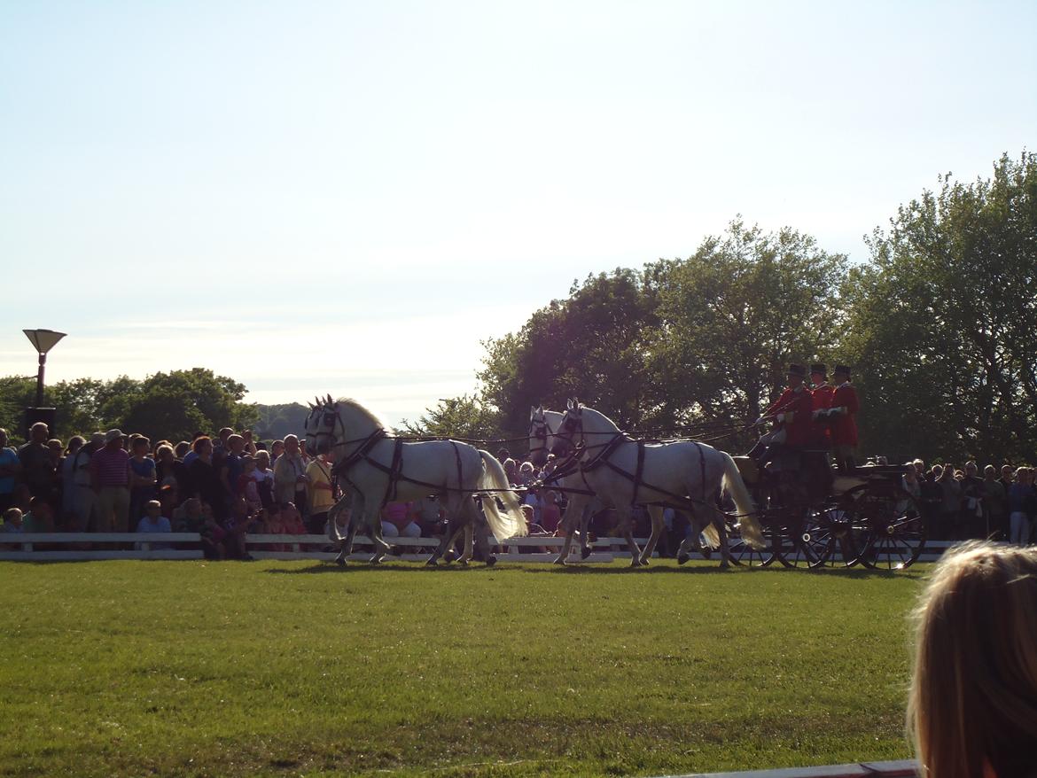 Gardehusarer i Haderslev billede 26