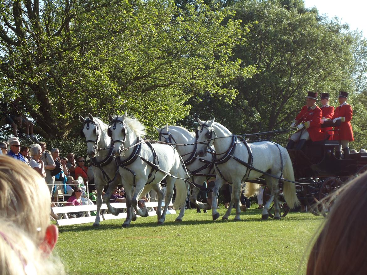 Gardehusarer i Haderslev billede 28