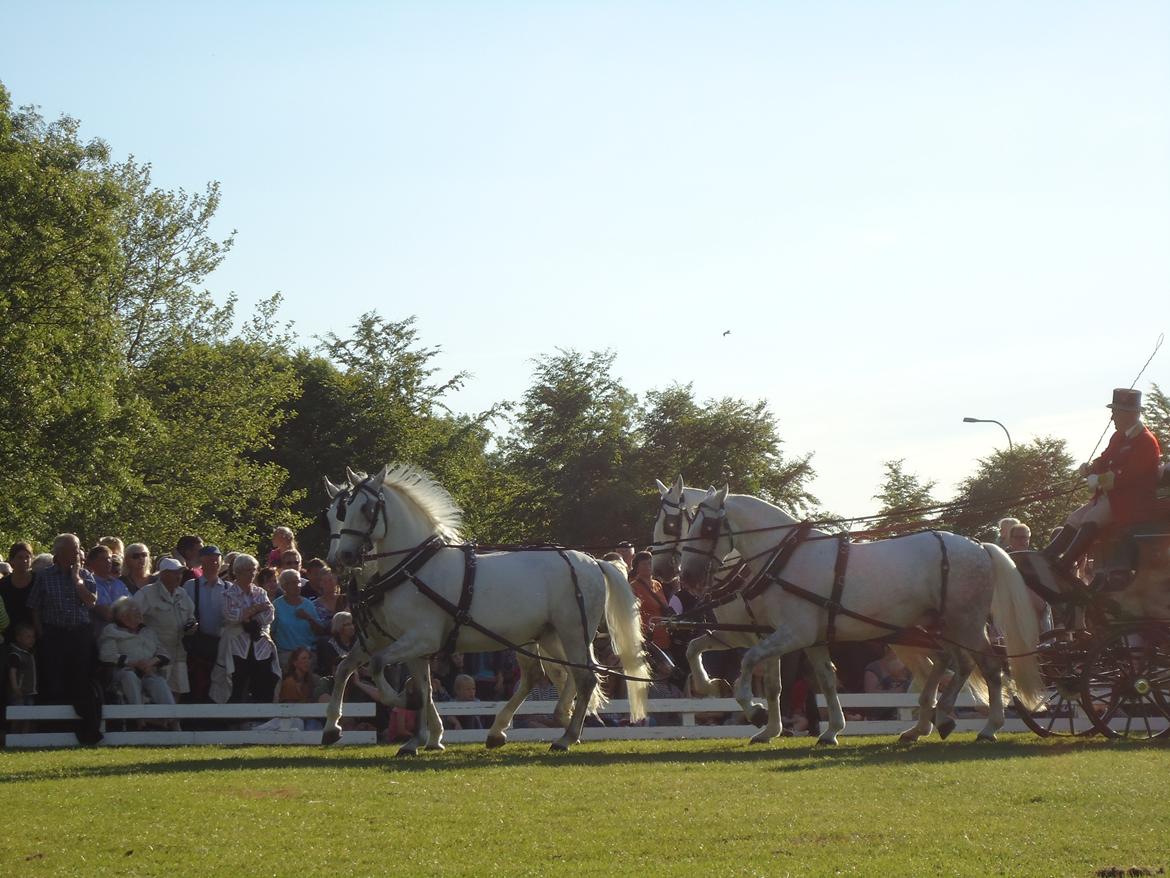 Gardehusarer i Haderslev billede 34