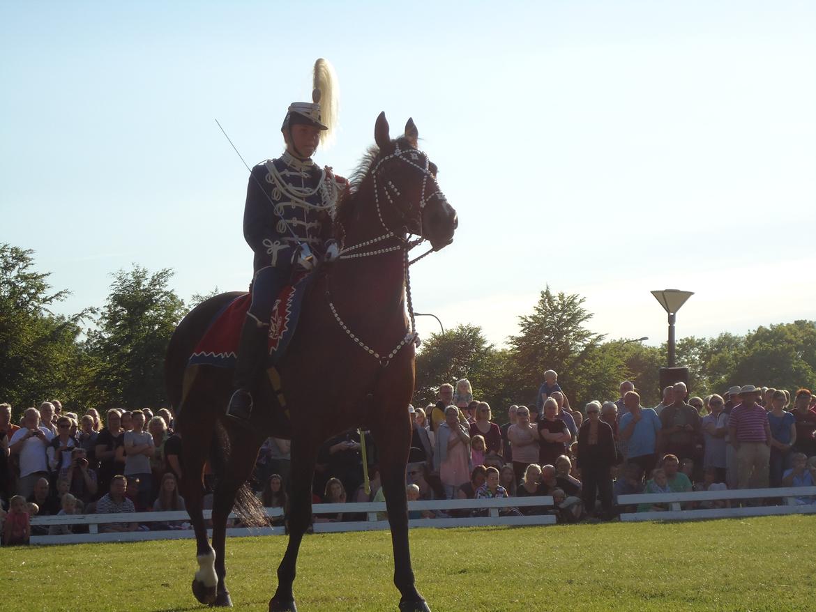 Gardehusarer i Haderslev billede 38