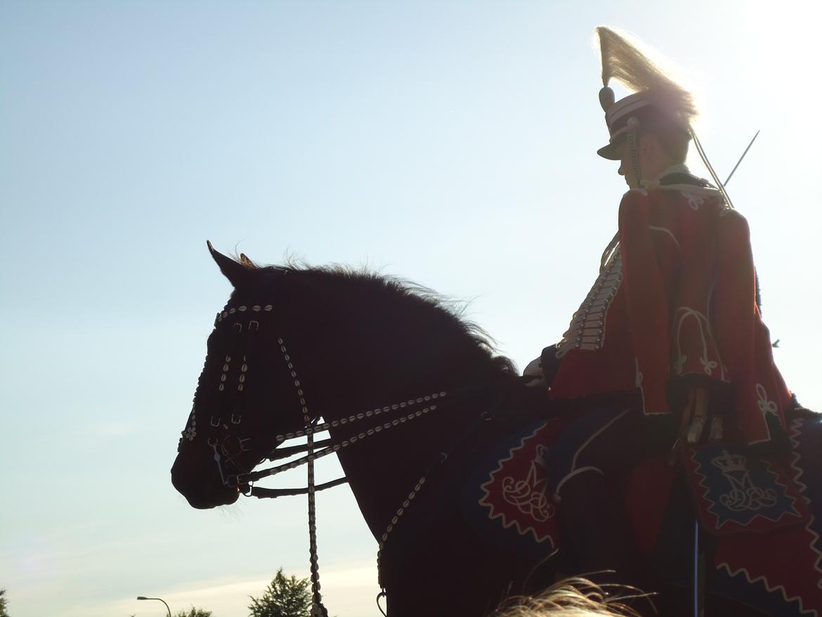 Gardehusarer i Haderslev billede 39