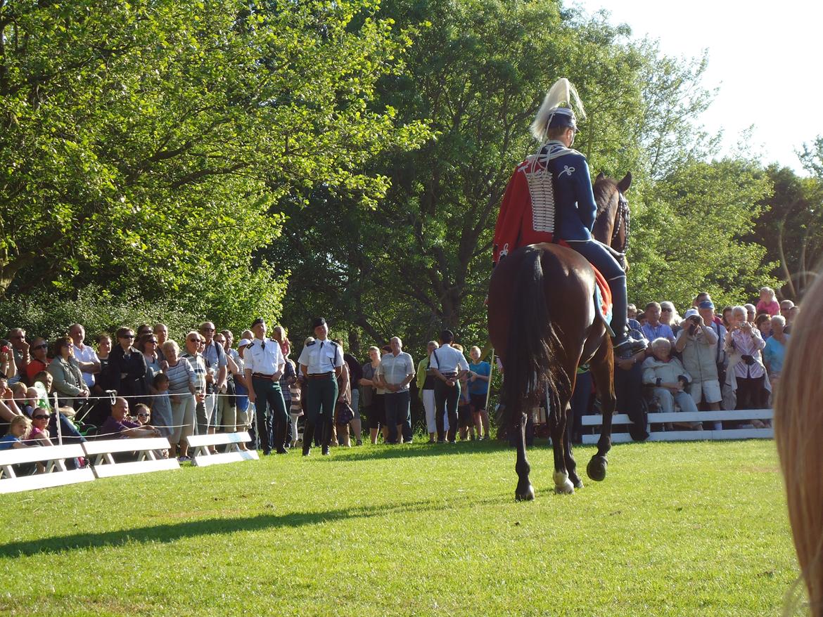 Gardehusarer i Haderslev billede 40