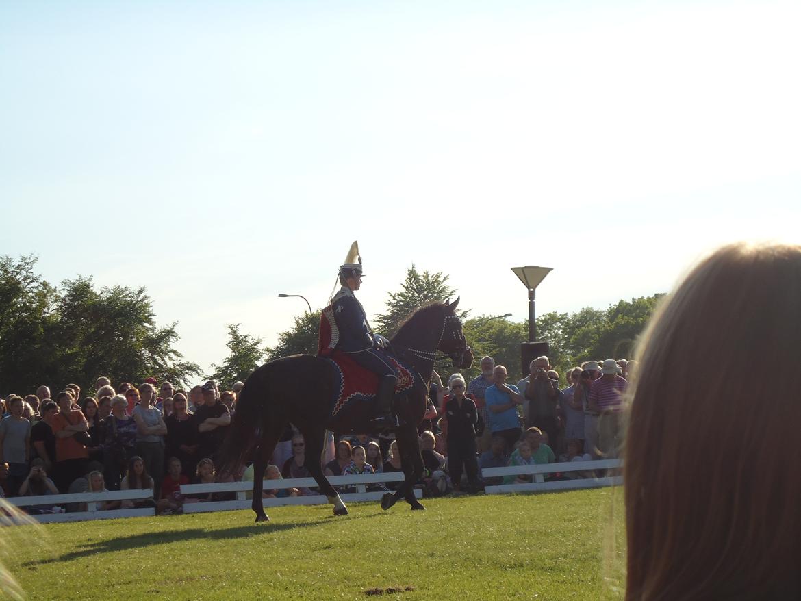 Gardehusarer i Haderslev billede 41