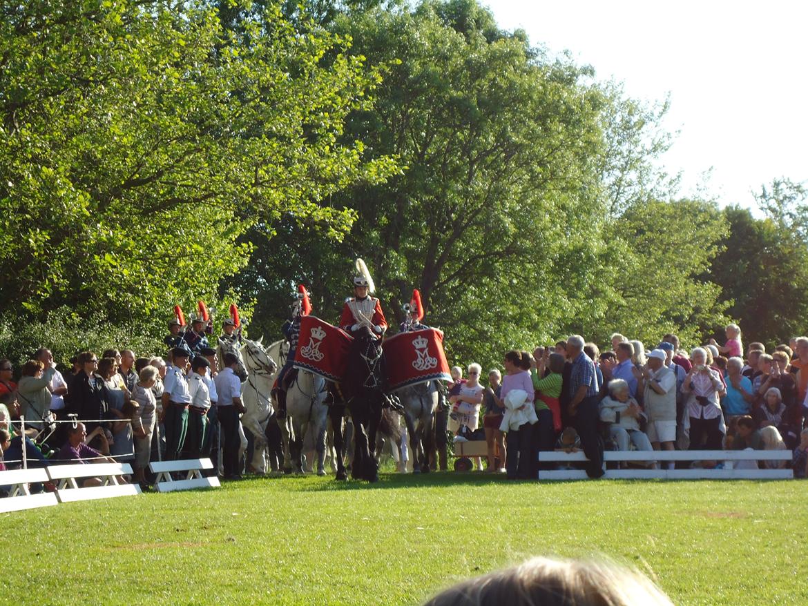 Gardehusarer i Haderslev billede 42