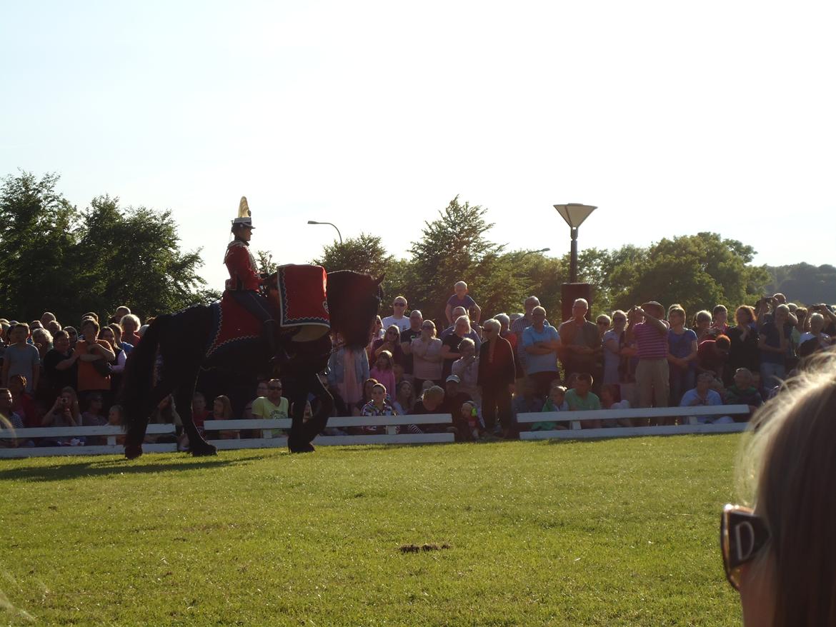 Gardehusarer i Haderslev billede 43
