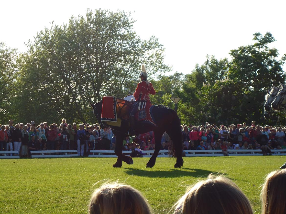 Gardehusarer i Haderslev billede 44