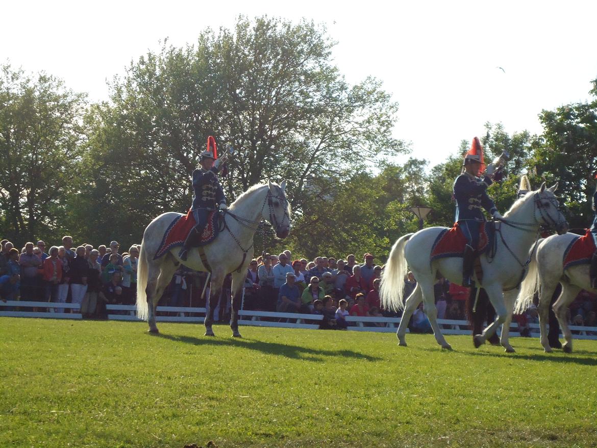 Gardehusarer i Haderslev billede 45