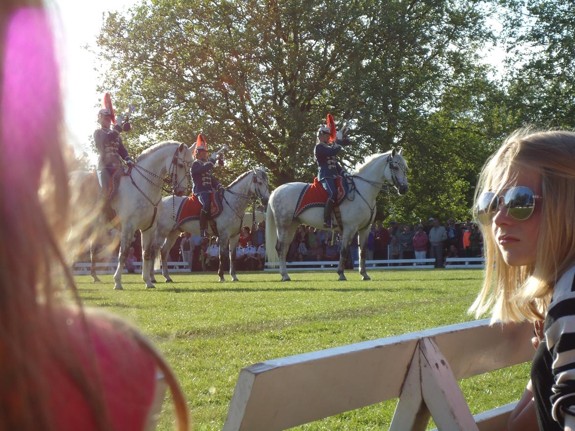 Gardehusarer i Haderslev billede 46