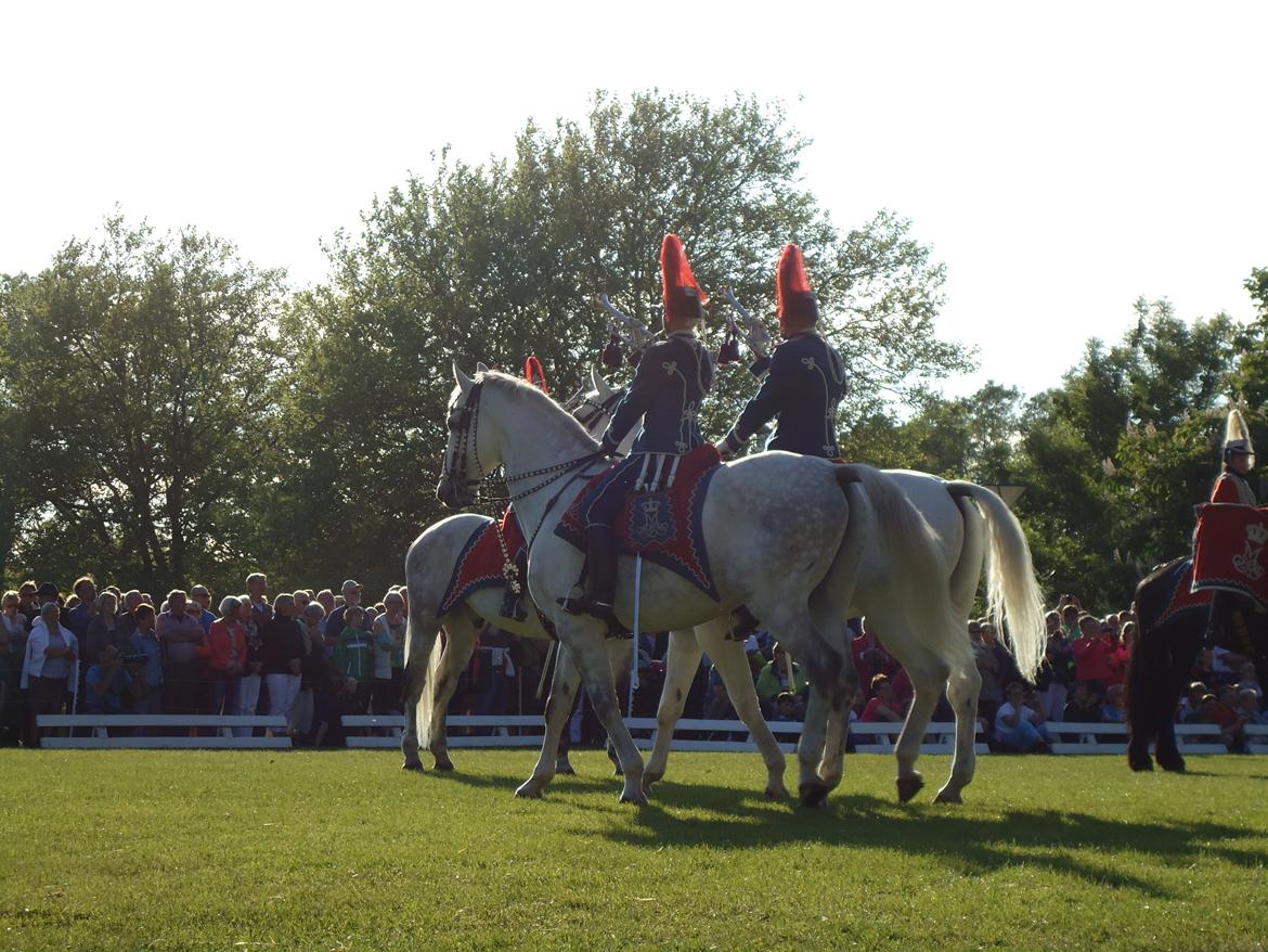 Gardehusarer i Haderslev billede 47