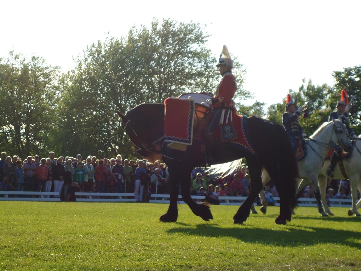 Gardehusarer i Haderslev billede 49