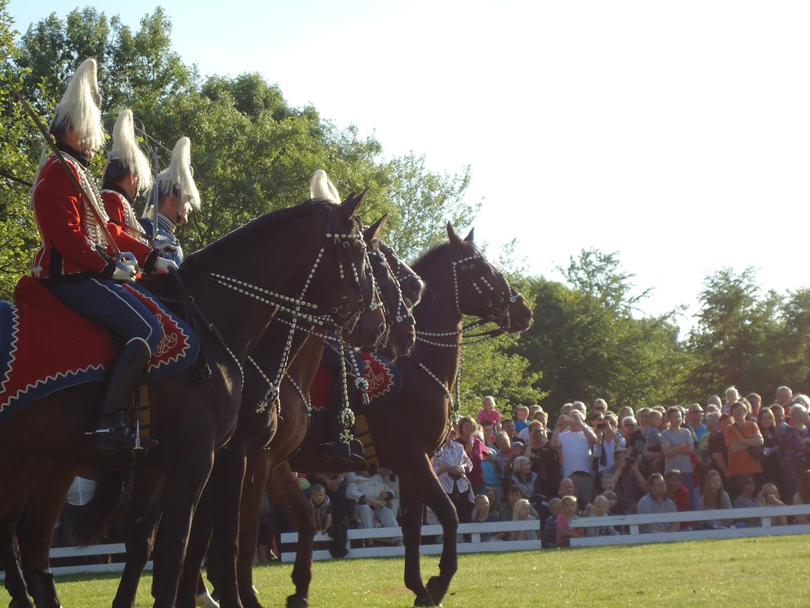 Gardehusarer i Haderslev billede 50