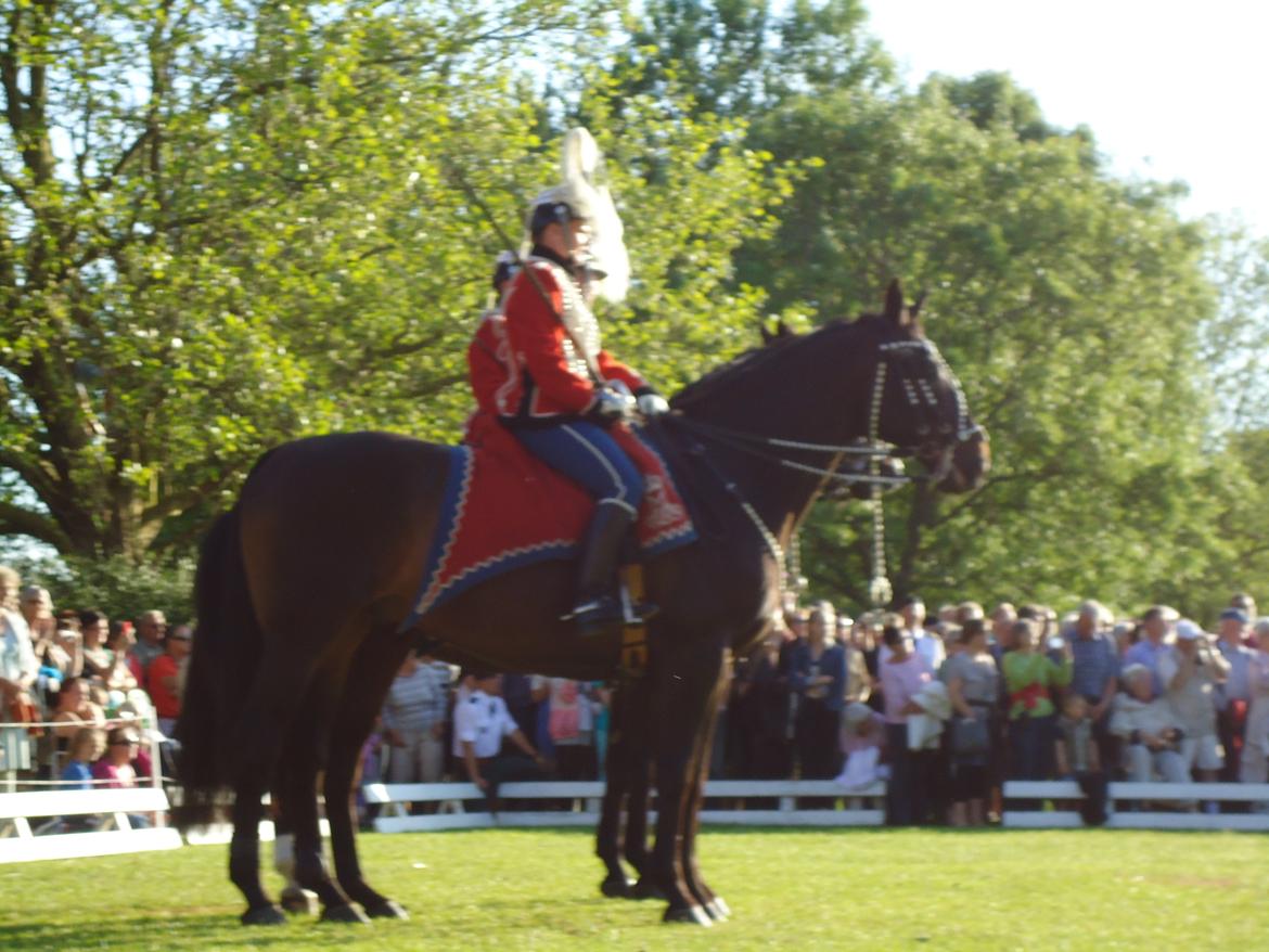 Gardehusarer i Haderslev billede 51