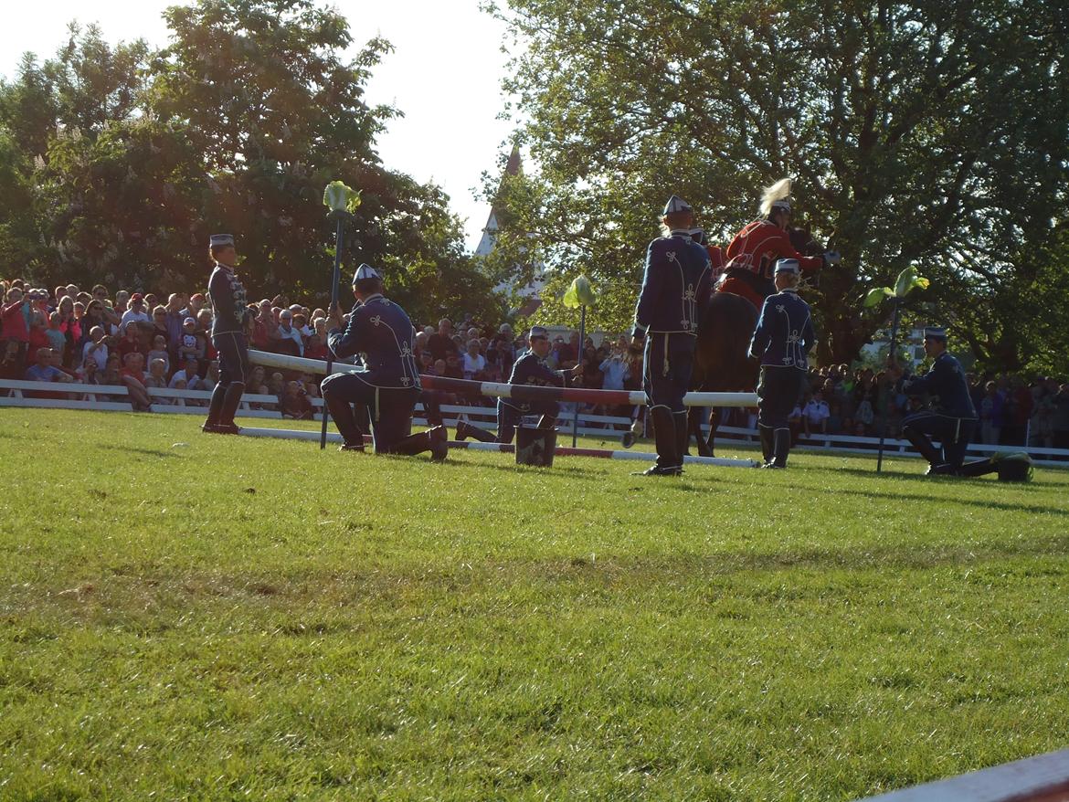 Gardehusarer i Haderslev billede 52