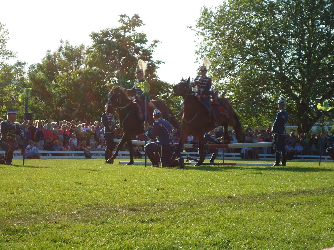 Gardehusarer i Haderslev billede 53