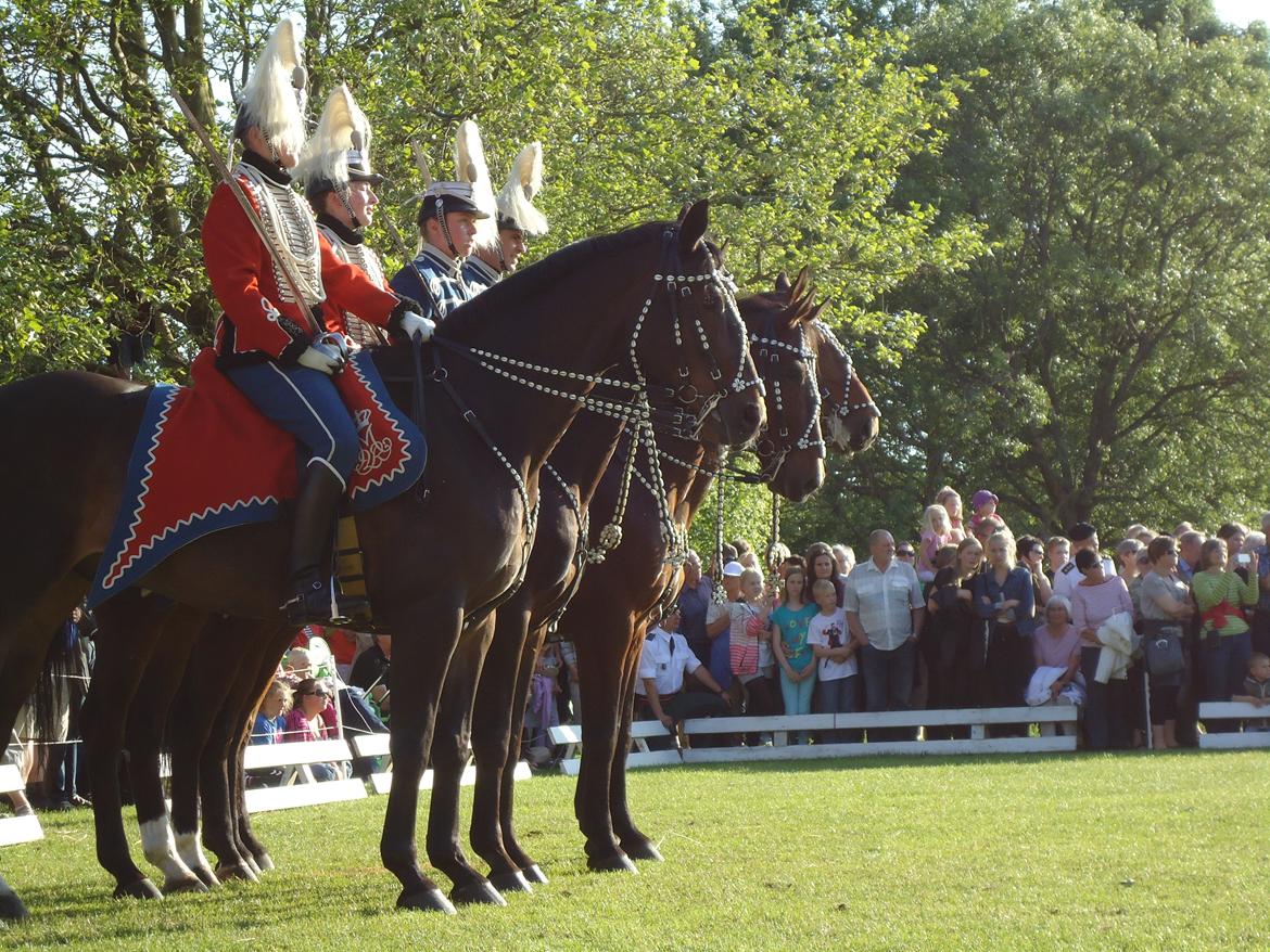 Gardehusarer i Haderslev billede 54