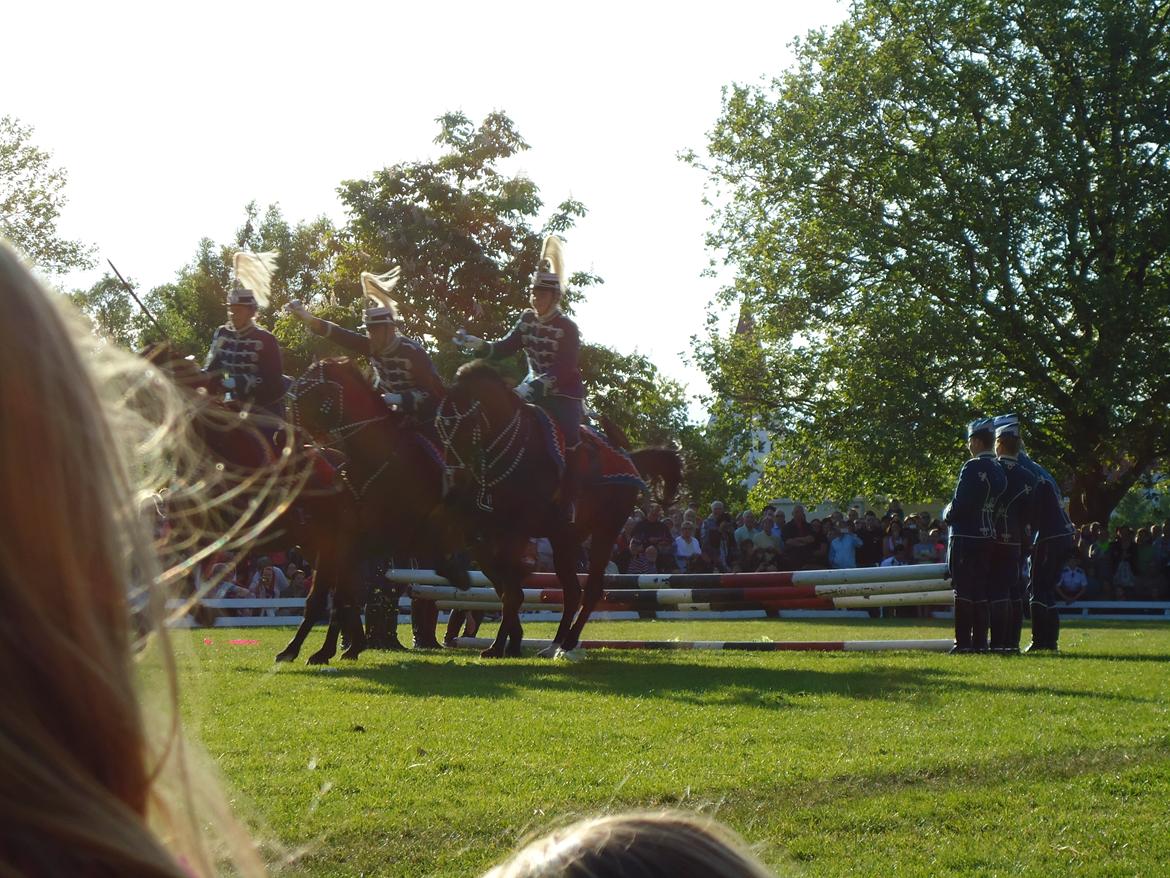 Gardehusarer i Haderslev billede 55