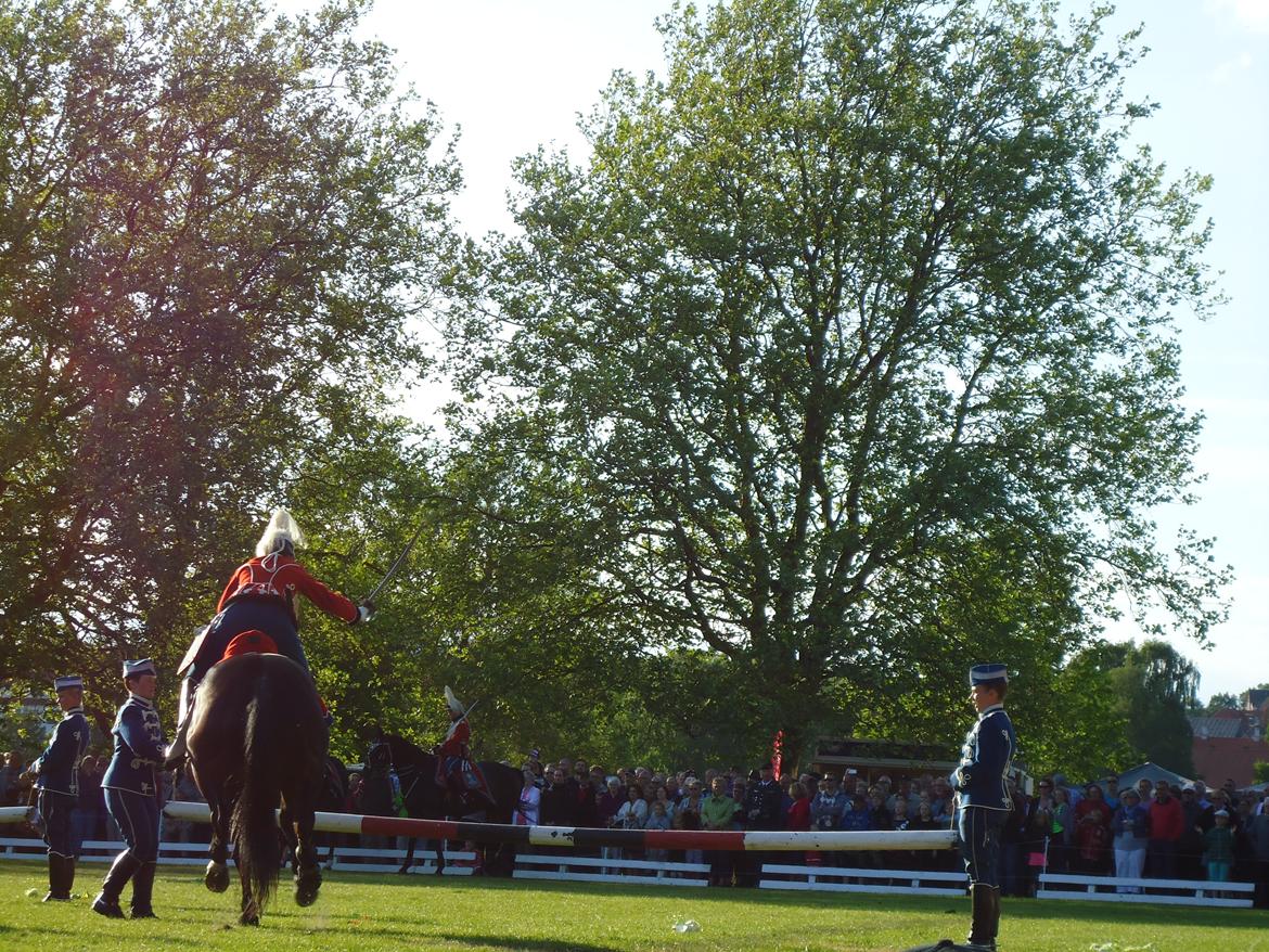 Gardehusarer i Haderslev billede 56