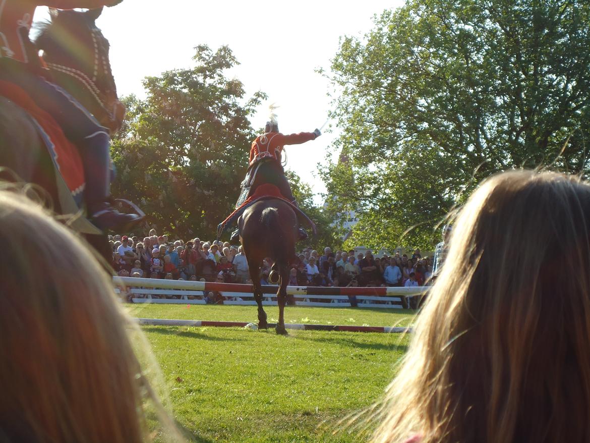 Gardehusarer i Haderslev billede 57