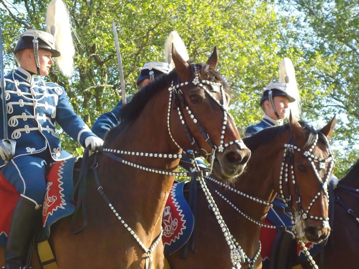 Gardehusarer i Haderslev billede 58