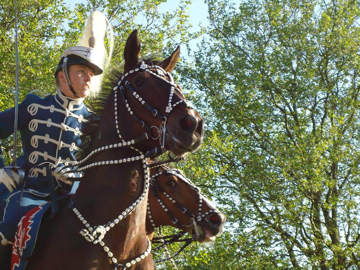 Gardehusarer i Haderslev billede 59