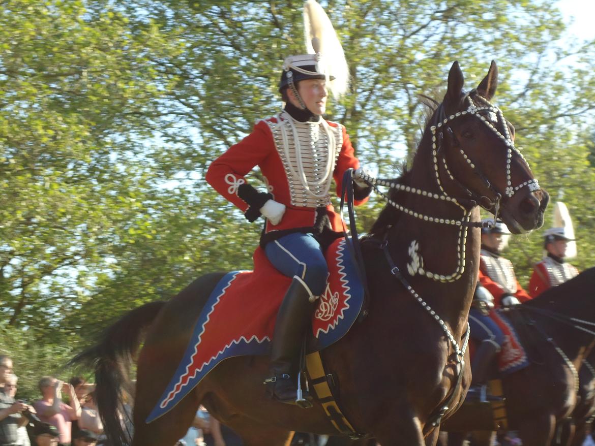 Gardehusarer i Haderslev billede 60