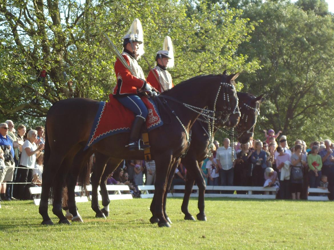 Gardehusarer i Haderslev billede 61