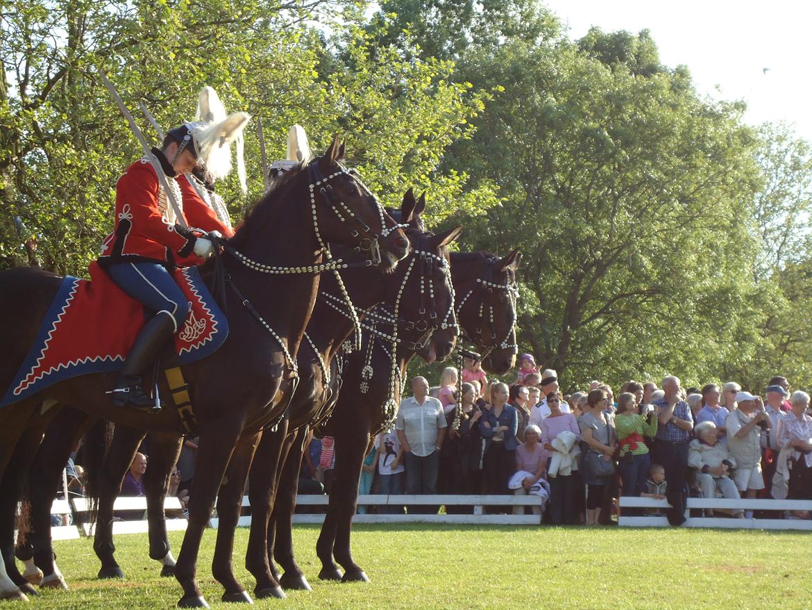 Gardehusarer i Haderslev billede 62