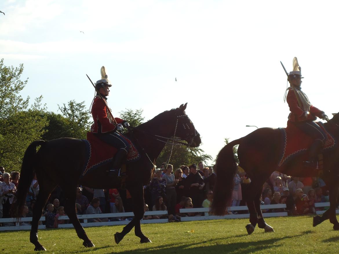 Gardehusarer i Haderslev billede 63