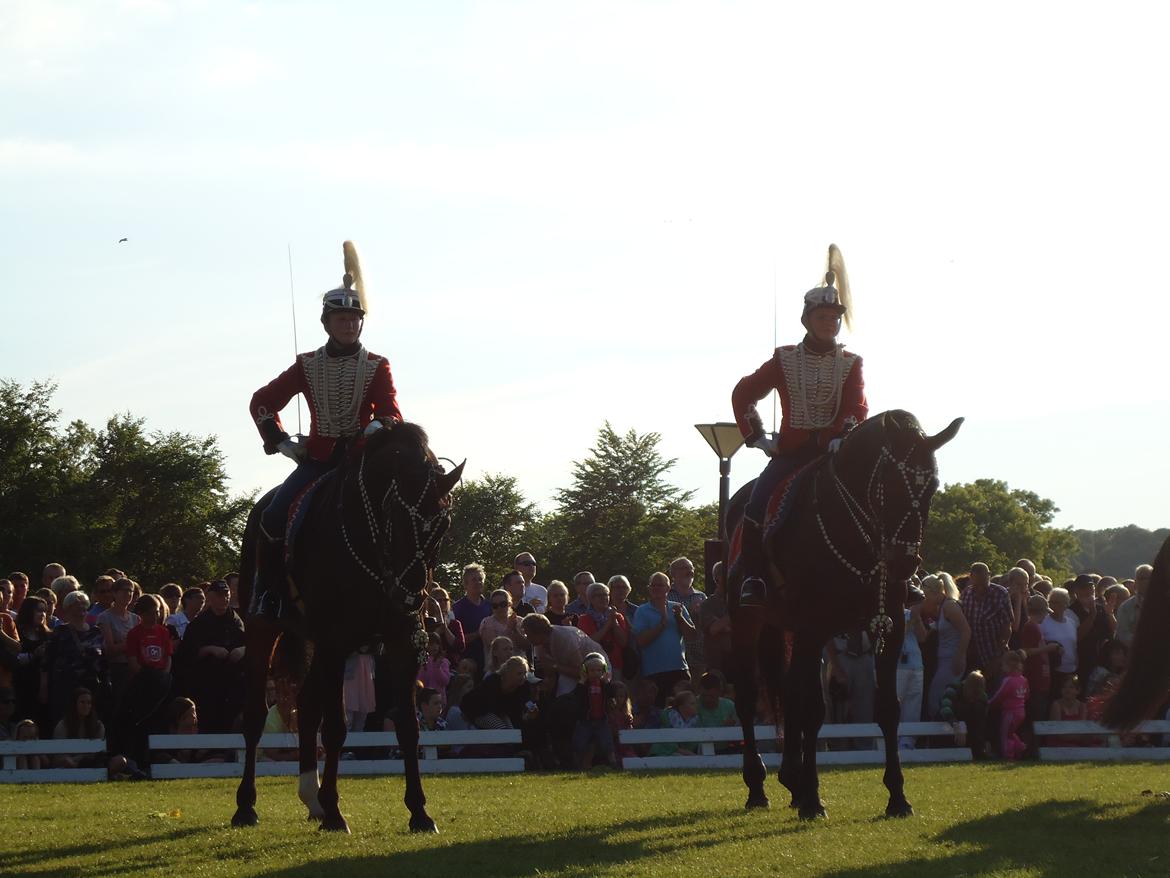 Gardehusarer i Haderslev billede 64