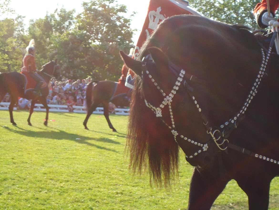 Gardehusarer i Haderslev billede 65