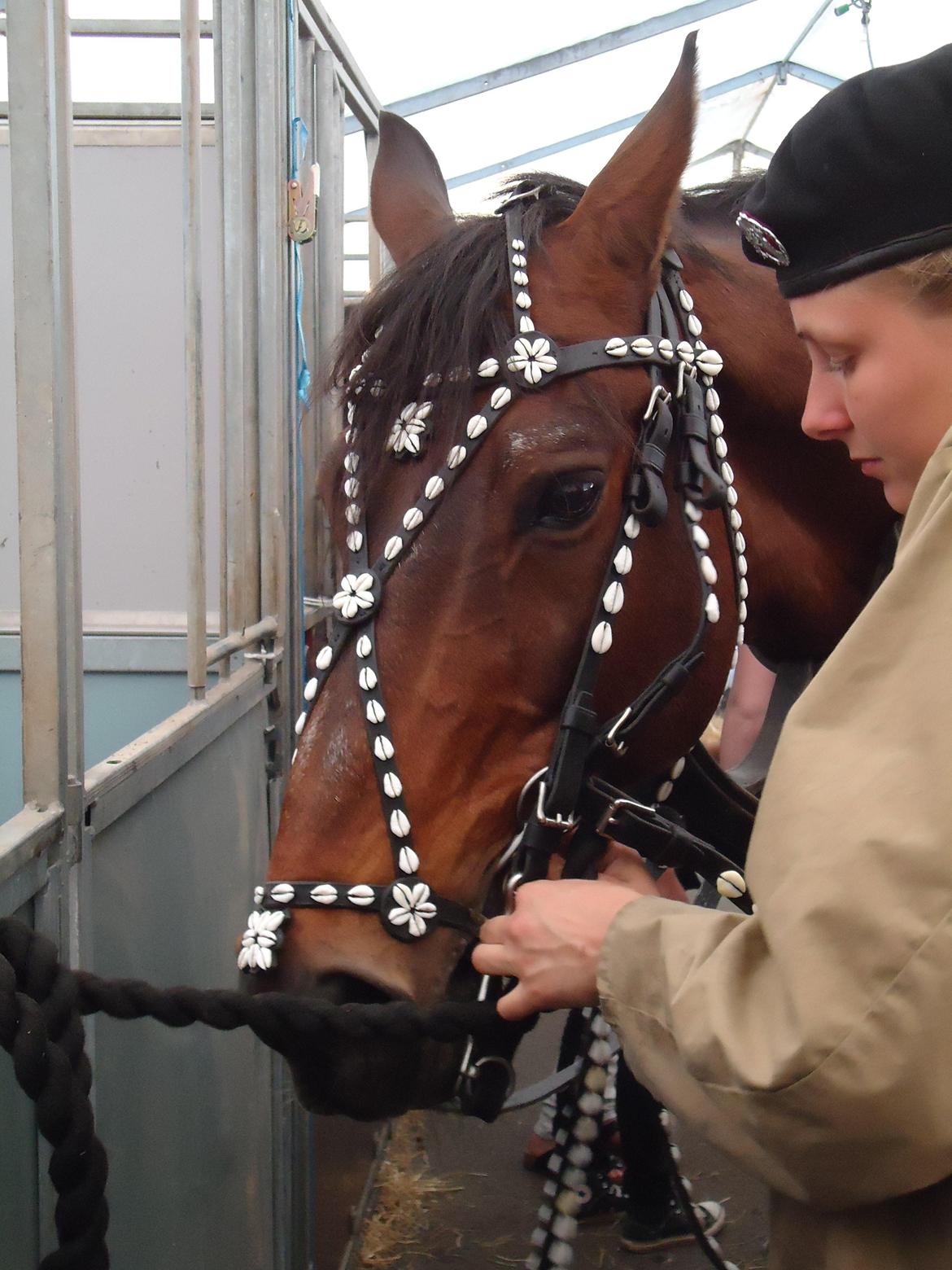 Gardehusarer i Haderslev billede 66