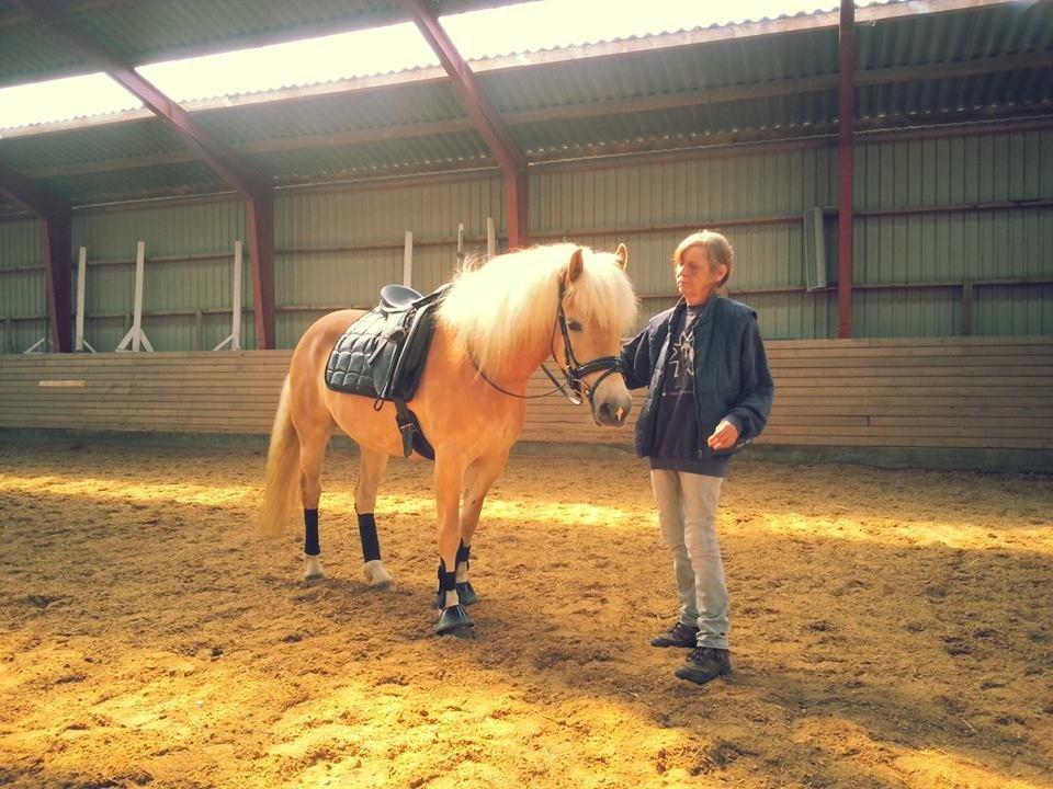 Suesette 2013 Andrup Ridecenter  - Suesette i sit nye "søndagsdress" ;) billede 4