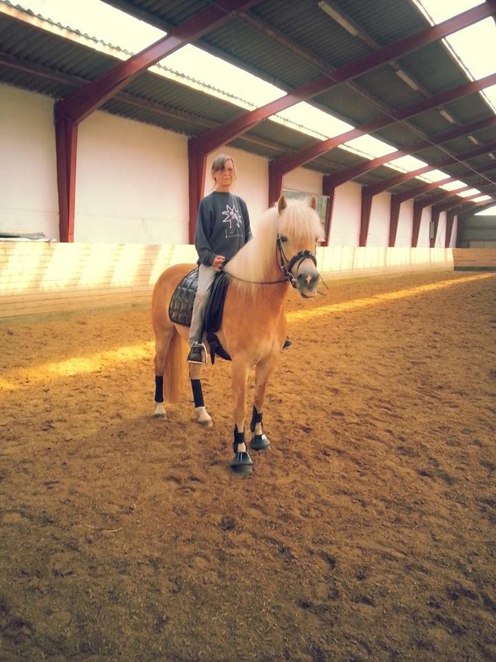 Suesette 2013 Andrup Ridecenter  - 7 juni 2013 billede 5