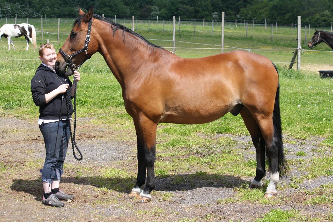 Skønneste Prunse billede 9