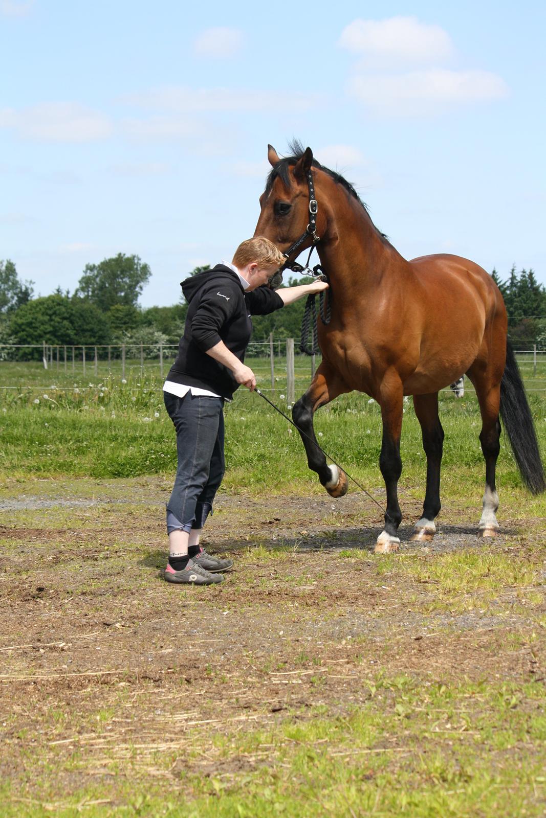 Skønneste Prunse billede 1