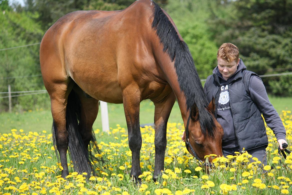 Skønneste Prunse billede 11