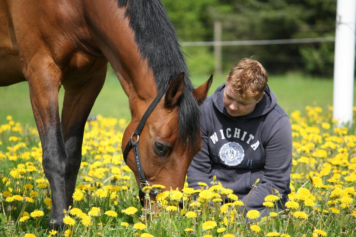 Skønneste Prunse billede 12