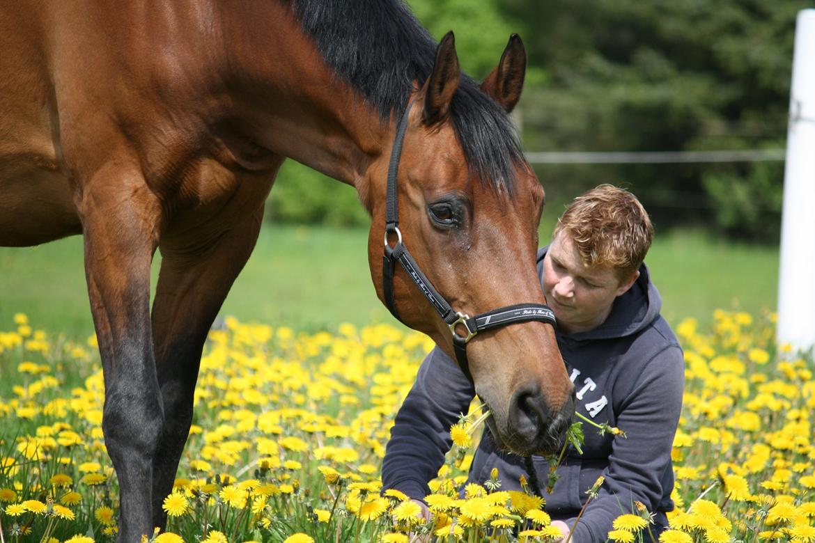 Skønneste Prunse billede 14