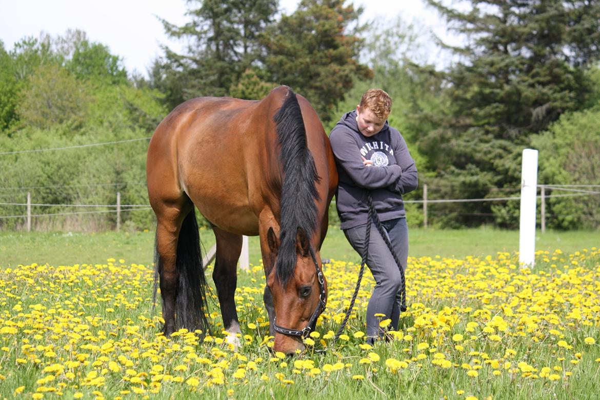 Skønneste Prunse billede 15