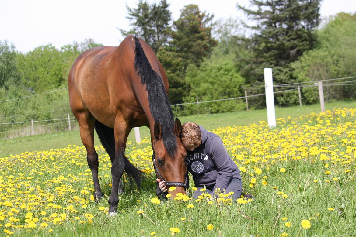 Skønneste Prunse billede 16