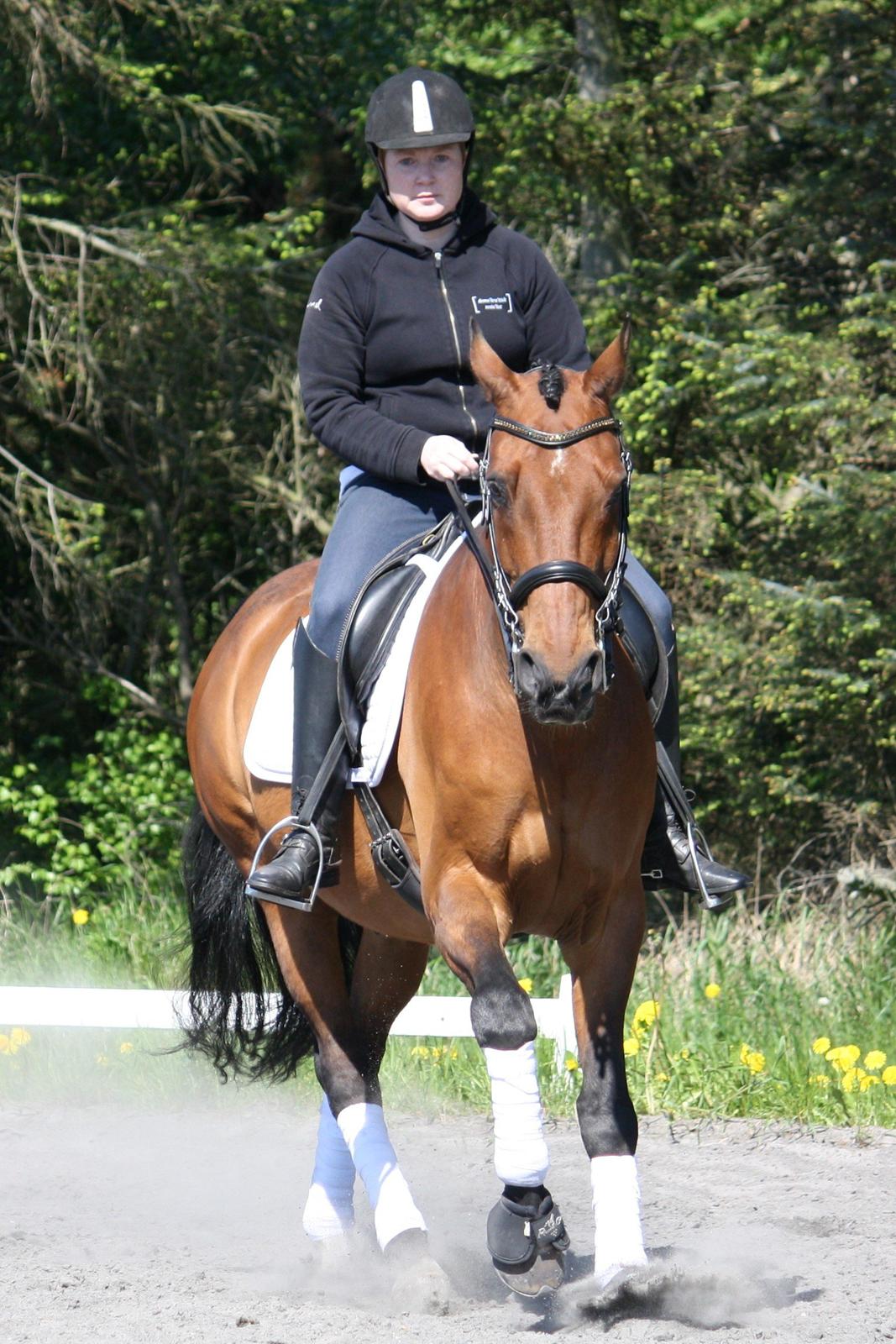 Skønneste Prunse billede 25