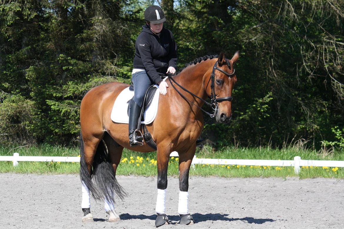 Skønneste Prunse billede 27