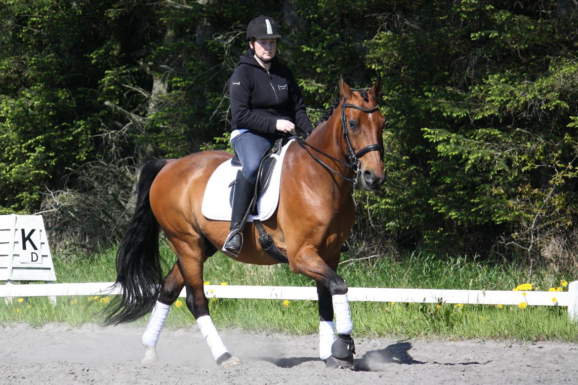 Skønneste Prunse billede 28