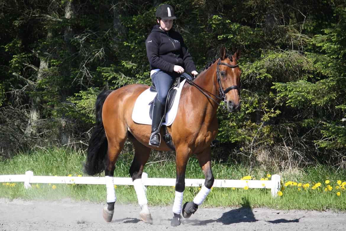 Skønneste Prunse billede 29