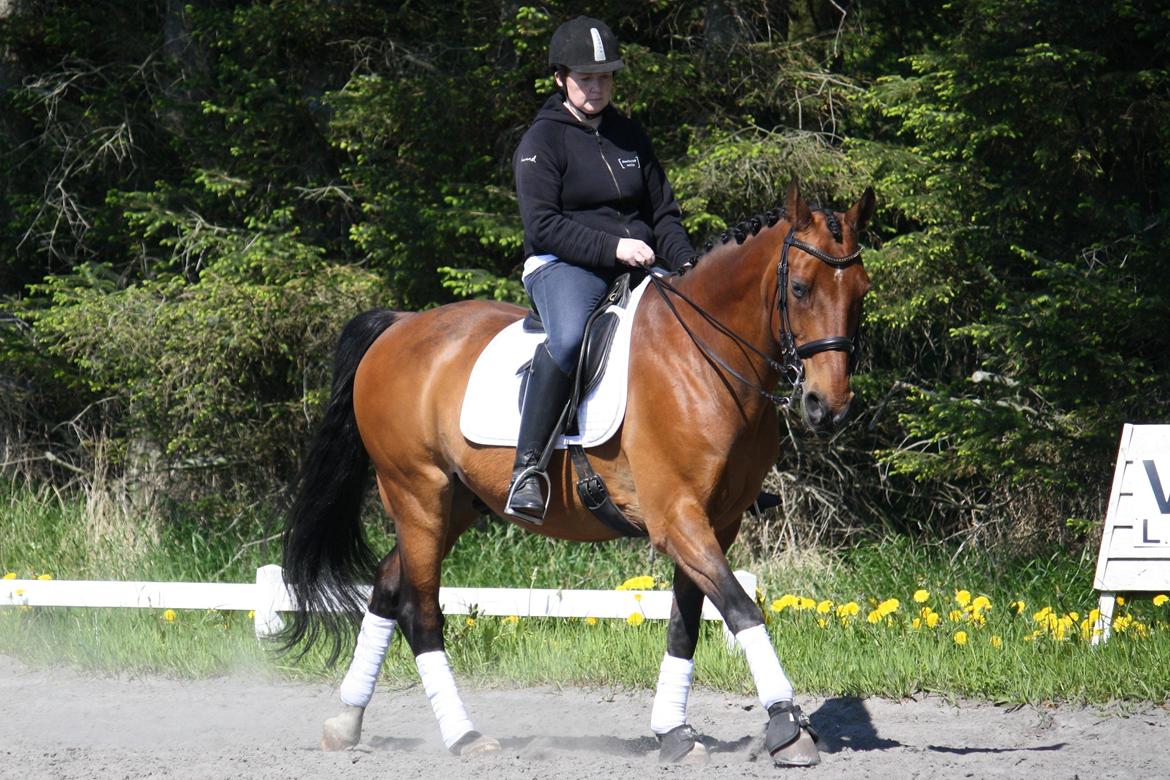 Skønneste Prunse billede 30