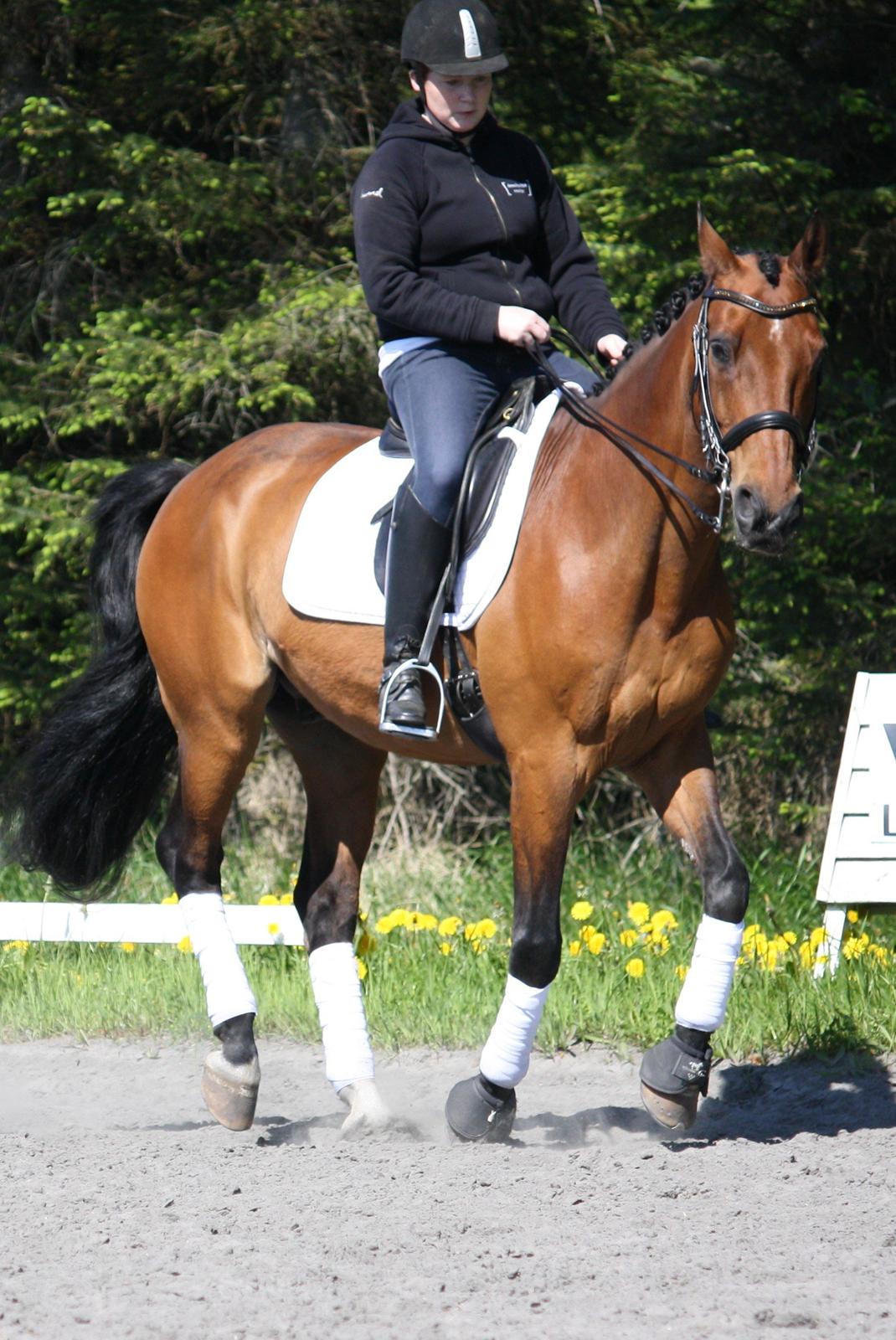 Skønneste Prunse billede 31