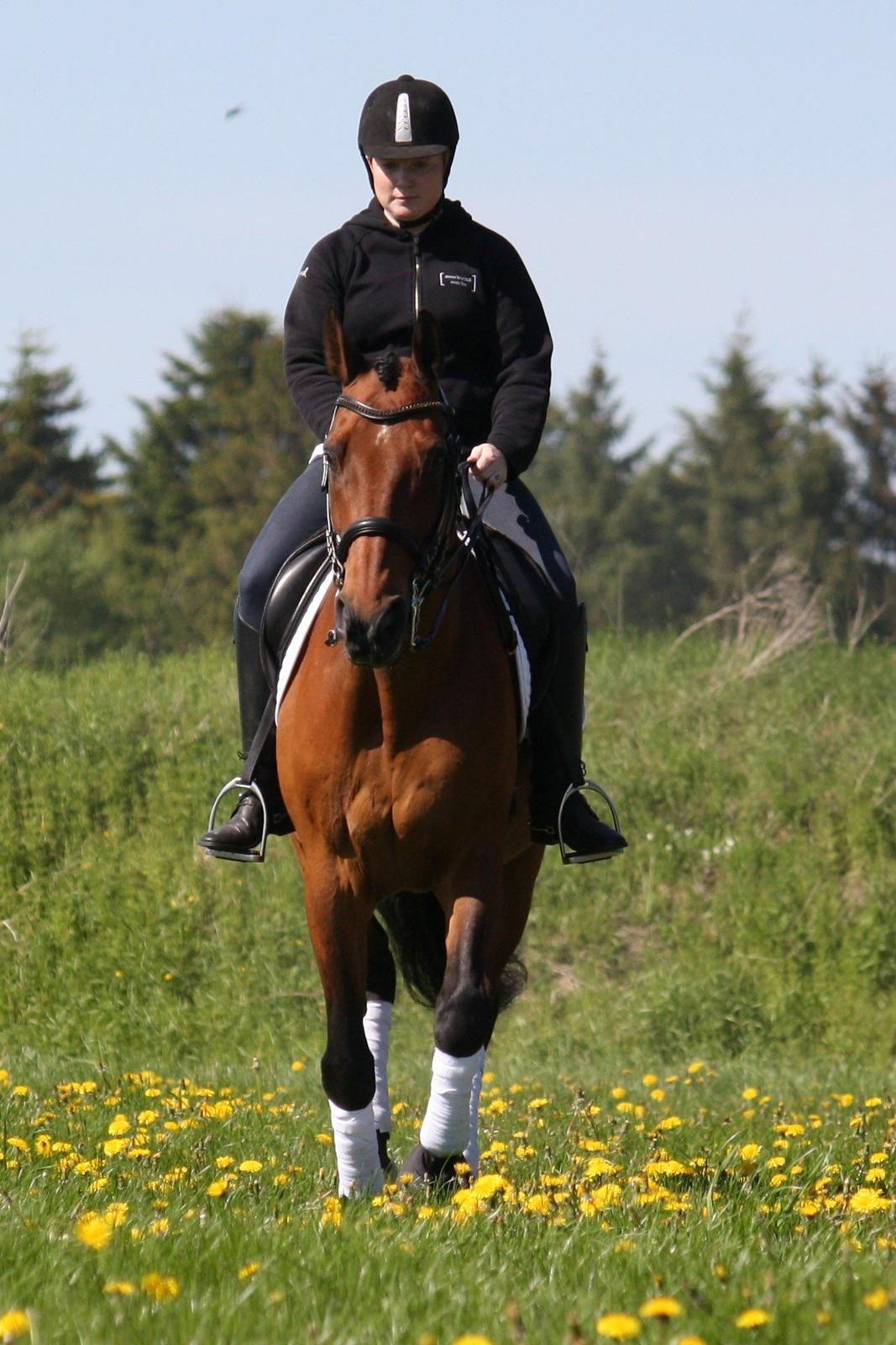 Skønneste Prunse billede 32