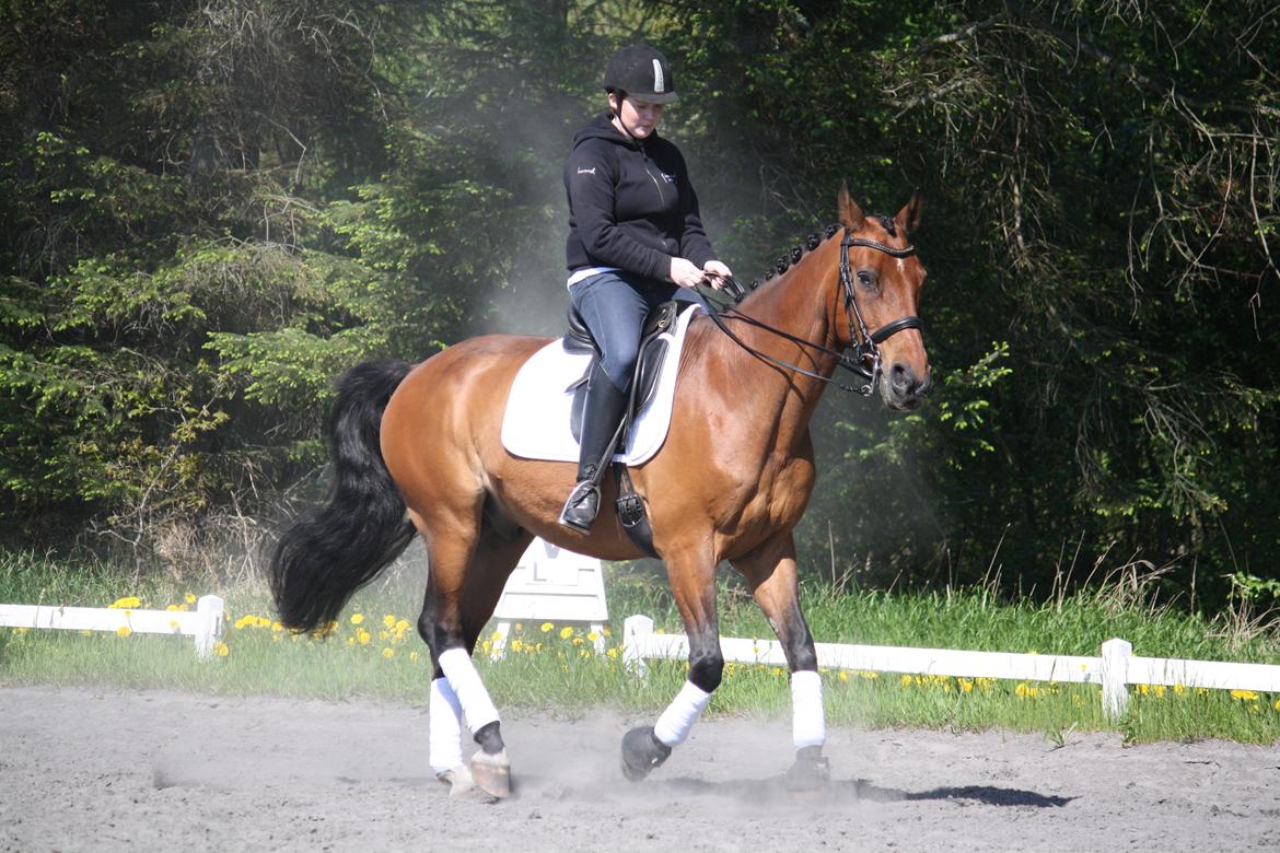 Skønneste Prunse billede 33