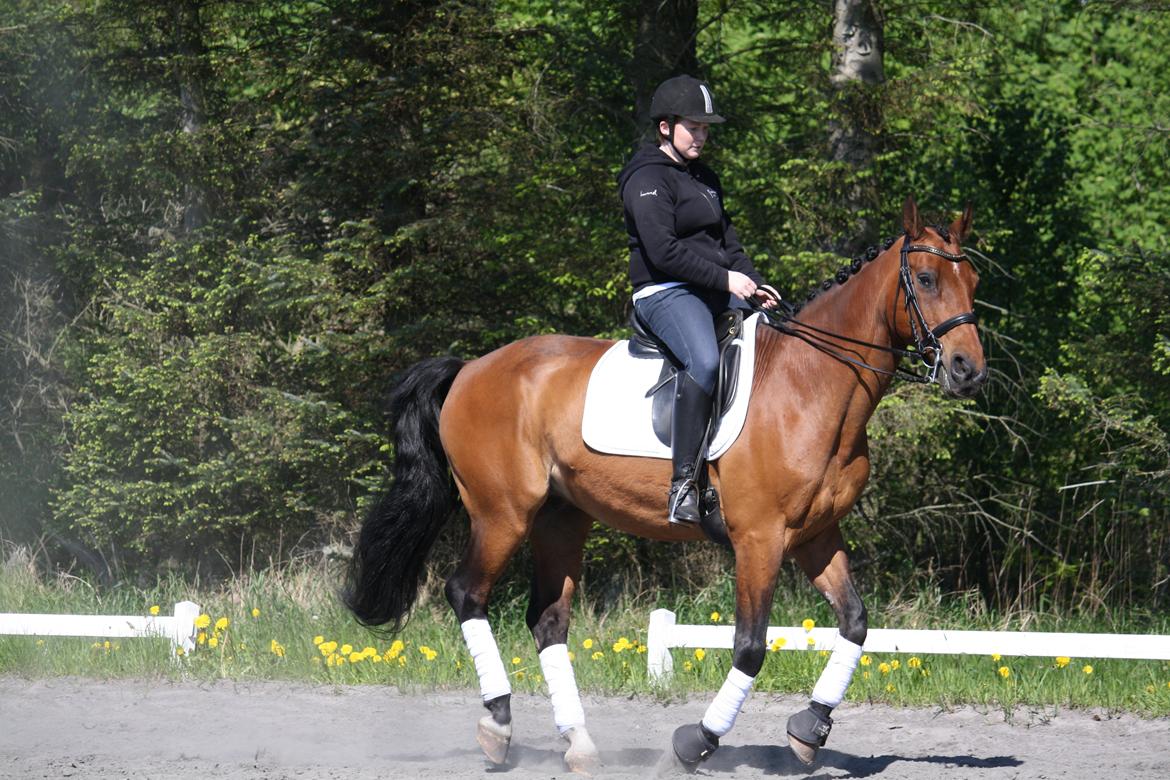 Skønneste Prunse billede 34