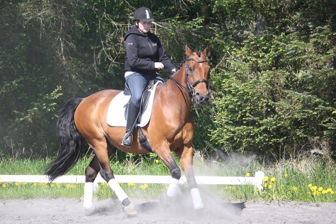 Skønneste Prunse billede 35